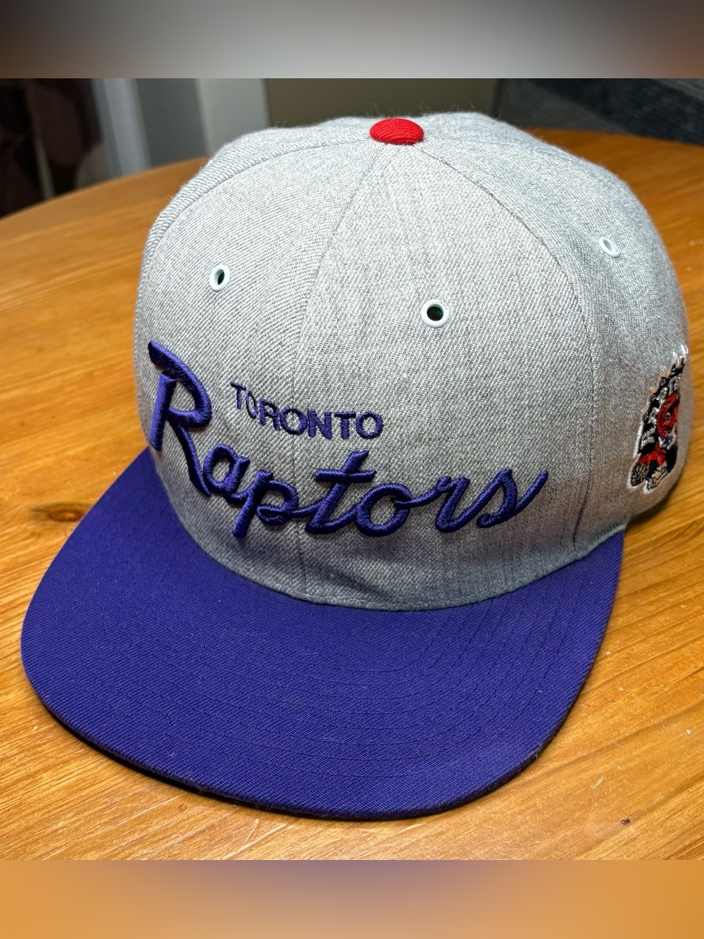 Mitchell & Ness Grey and Purple Toronto Raptors NBA HWC Script Snapback Hat OSFA